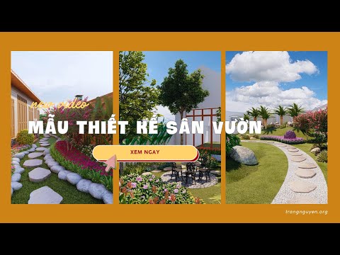 Mẫu thiết kế sân vườn đẹp