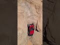 Straight Up The Chute SandHollow Jeep Offroad Shorts