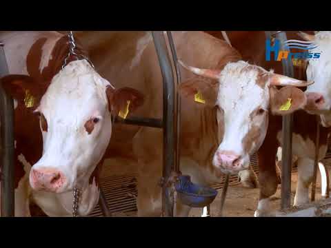 Einbau unseres H.Preiss-Güllevitalisierers bei Landwirt Herr Fichtner #erfahrungsbericht #aquaspin