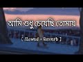 Ami Sudhu Cheyechi Tomay (Slowed+Reverb)- Ankush | Subhashree | Mohammed Irfan | Savvy | Motion Less