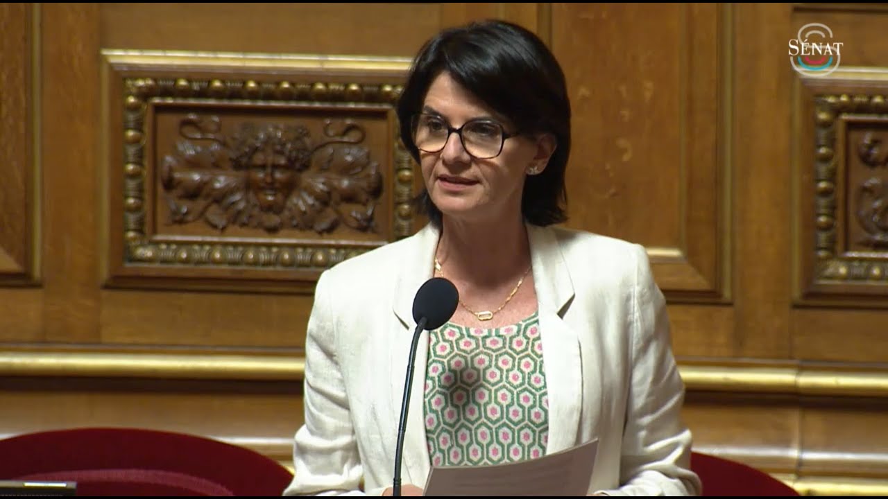 Intervention d’Anne VENTALON lors du débat sur l’intelligence artificielle au Sénat