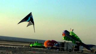 THE GRID à la plage by Ju et Lolo