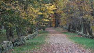 Johnny Has Gone for a Soldier