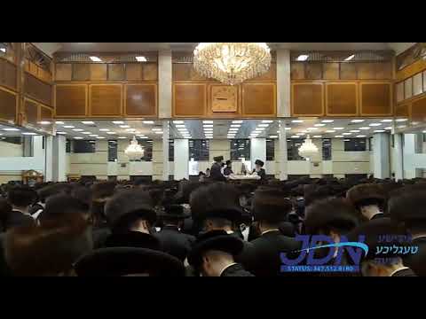 Purim 5780 In Satmar