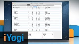How to View General CPU Information in Mac® OS X™
