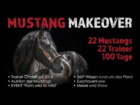 Trailer Mustang Makeover 2018
