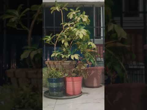 Karan Singh love, life and love in life