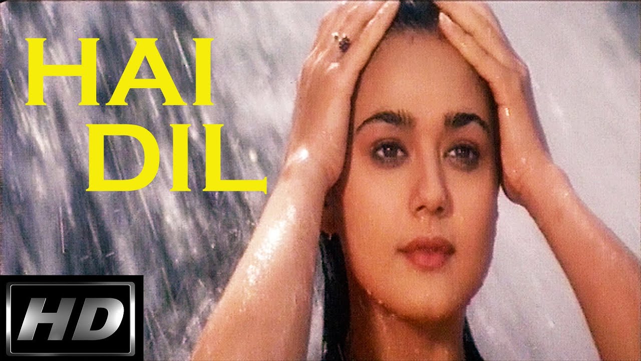 Hai Dil Ka Yeh Dhadakna Lyrics | Dulhan Dilwale Ki | Anuradha Paudwal, Kumar Sanu | Ramana Gogula