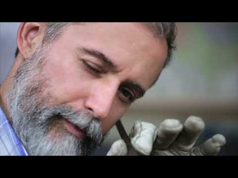 Oyster Bamboo on CBS 6