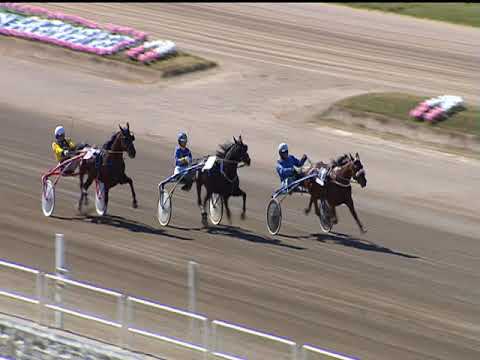 Trotto 30/04/2019 - 5ª corsa - Speed Race - Bat. A