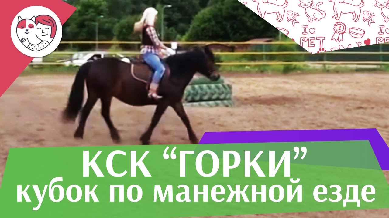 Летний кубок КСК Горки по манежной езде КЮР часть 4 на ilikepet