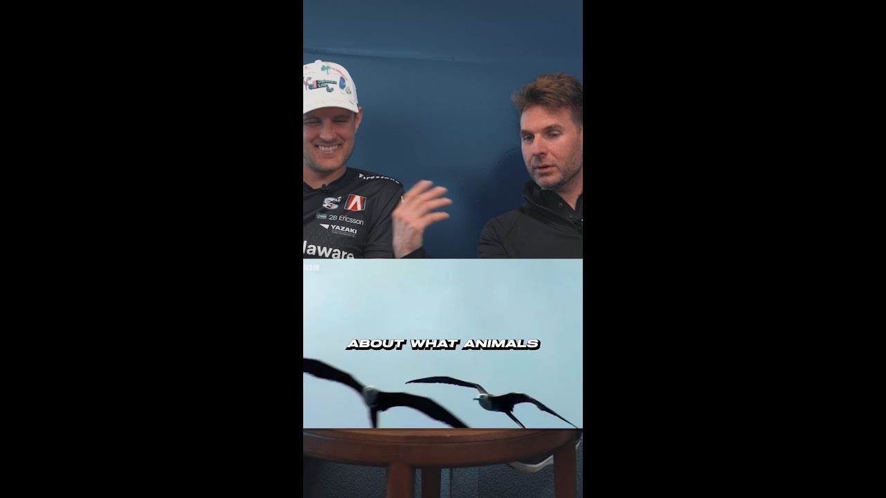 Click to watch the video “Will Power Wants to Be a Fish Bird?! 🤔”