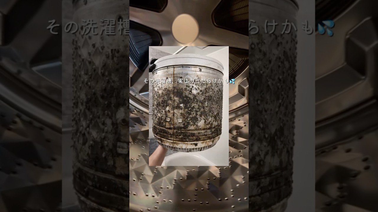 【無添加洗濯石鹸】#洗濯 #洗濯洗剤 #便利グッズ