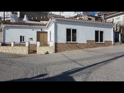 video image