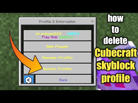 Amazing trick to delete Minecraft sky block profile