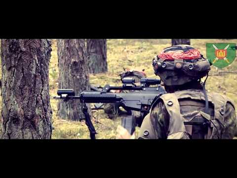 Galingas pratybų „Geležinis vilkas 2017“ finalas