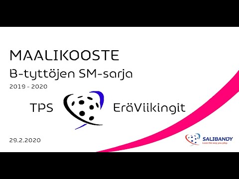 Maalikooste BTSM TPS - EräViikingit 29.2.2020