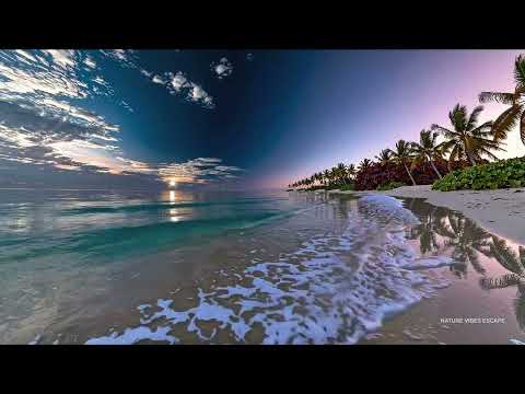 Focus 🌴 Bahia Honda Beach Florida Keys Atlantic Vibe Ocean Sounds Sleep Calm Study 12H 4K 🌊