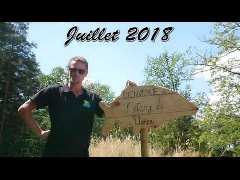 download lagu mp3 mp4 Carpe Vadrouille, download lagu Carpe Vadrouille gratis, unduh video klip Carpe Vadrouille