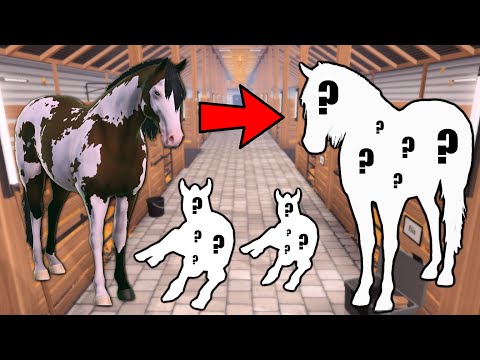 We breed foals 🐴, then this happens… Equestrian the Game