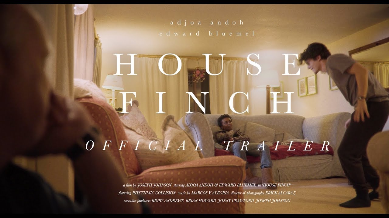 House Finch - Disability SHORT FILM Teaser (Adjoa Andoh, Edward Bluemel)