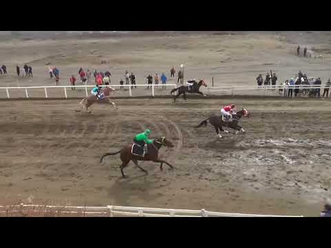 CHICA LINDA Cub Hípico Añelo, Domingo 31 de Agosto de 2025