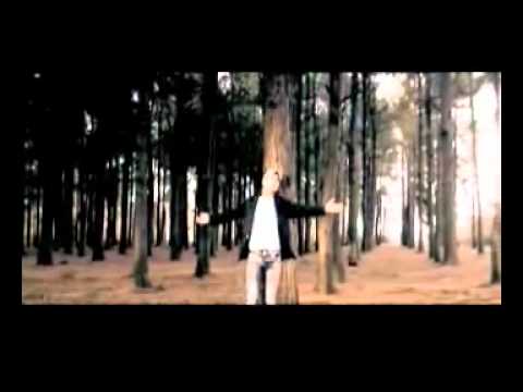 Afshin Shokri   Roya