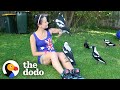 Woman Gives Toys to a Wild Magpie — and He Invites His ...