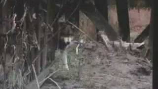 Scott Stapp - Sublime (Traducido)