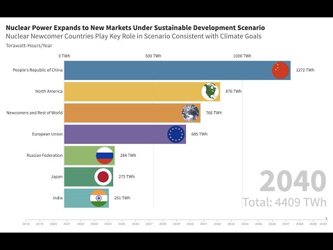 LOW CARBON ELECTRICITY: NUCLEAR POWER