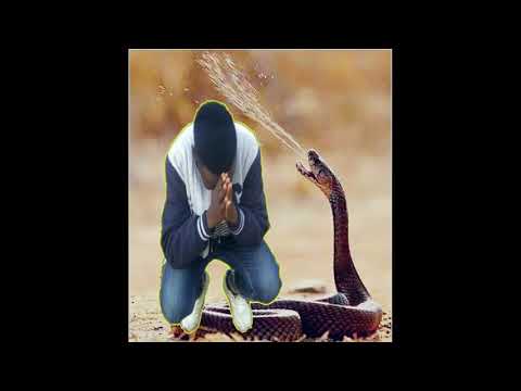 Halla Boss-Vanhamai Vamuhuno(Official Audio)