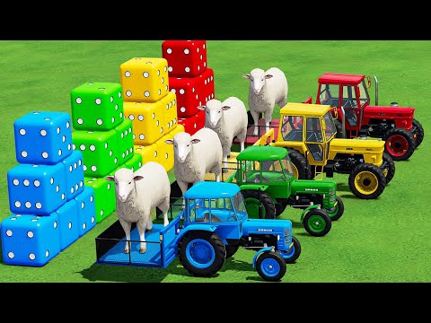TRANSPORT BIG SHEEPS & CANOLA WITH FIAT & CASE POLICE TRACTOR & COLORED  TRAILER & TESLA TRUCK! FS22