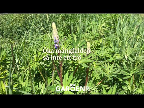 Öka mångfalden, så inte ett frö - Trädgårdshacks med GardenR