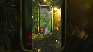 Grinch is calling Nikpig