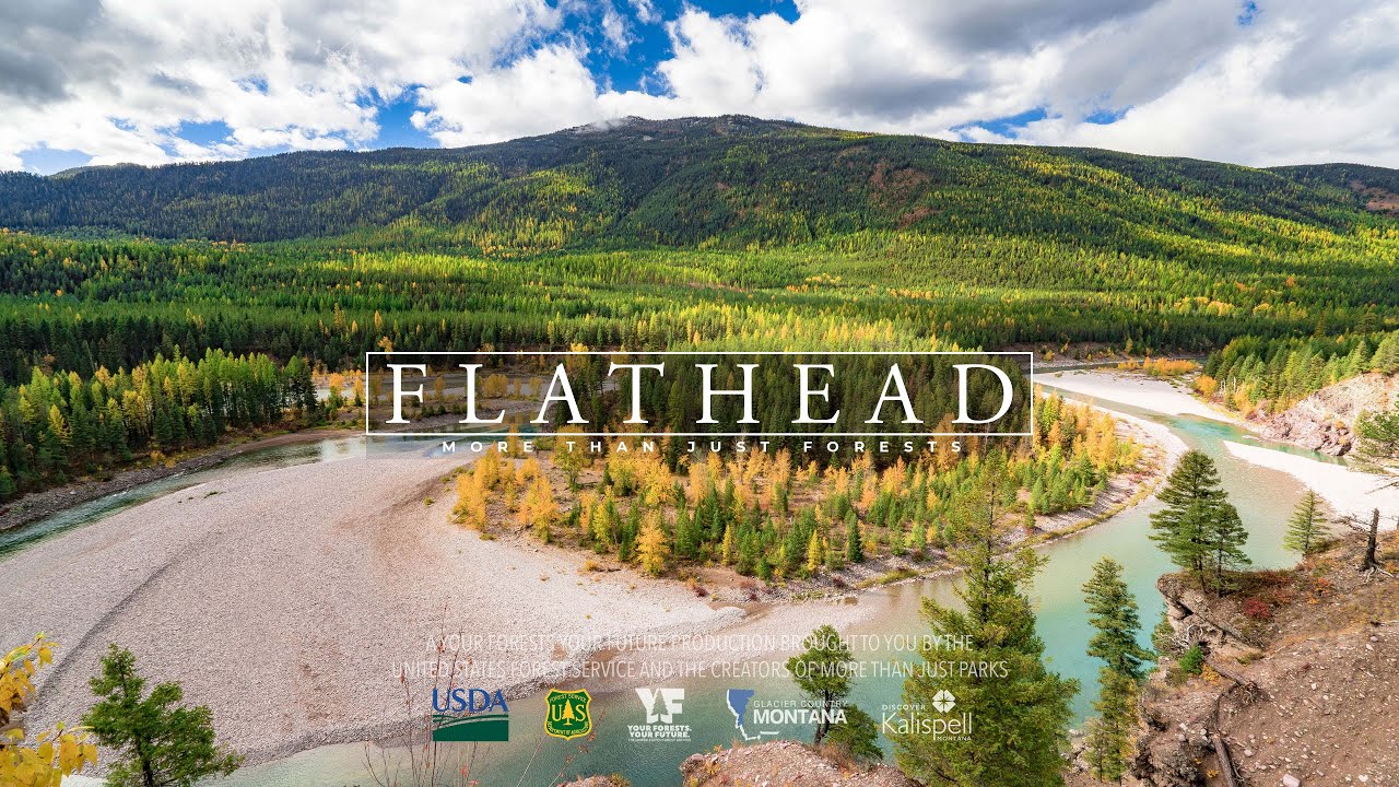Flathead