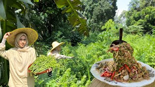 Download lagu HIDUP JIMAT CARI SAYUR SEGAR DI KEBUN |KERABU PUCUK PAKU KERANG mp3