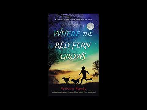 Where the Red Fern Grows — Chapter 18