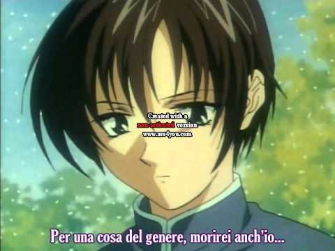 Schwarz Insanity - Weiss Kreuz