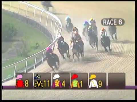 Fasuba wins on debut in Macau . 10.11.17