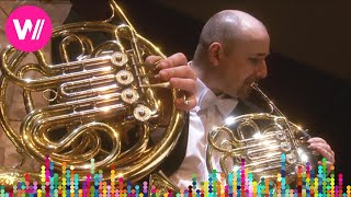 Download lagu Tchaikovsky - Symphony No. 4 in F minor, Op. 36 (Mariinsky Theatre Orchestra, Valery Gergiev) mp3