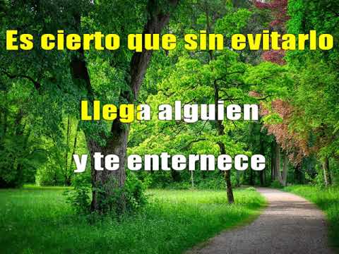 Ay Corazón - Galy Galiano