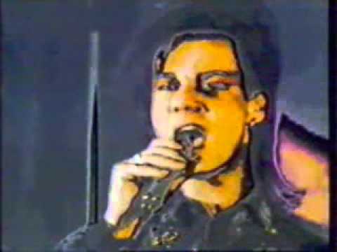 Split mirrors - Into the Light 2015