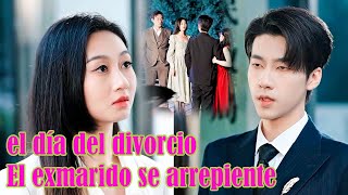 The day of the divorce the CEO realized he was in love with Cinderella and he regretted the divorce