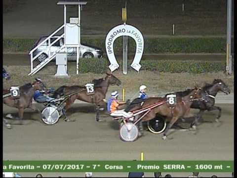 CORSA 7 DEL 7 LUGLIO 2017