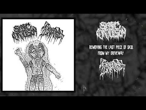Septic Convulsion / Serotonin Leakage - split MC/CDr FULL ALBUM (2020 - Goregrind / Gorenoise)
