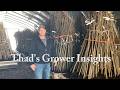 2 17 26 Thad's Grower Insights