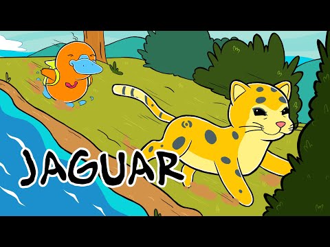 Hola Flinko - Jaguar/ Capítulo 14 Completo Temporada 1