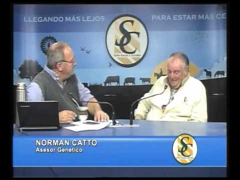 Nota Norman Catto - Parte 2 - 04/11/2014