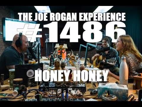 Joe Rogan Experience #1486 - Honey Honey