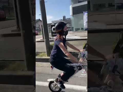 SoFlow:这是新的踏板车阵容